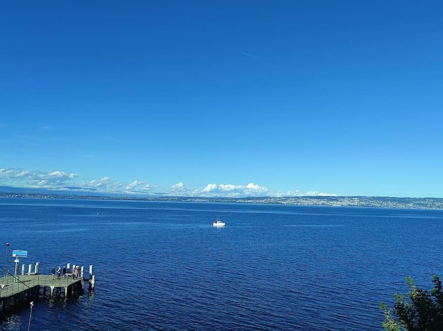 Bellerive Love Suite Magnifique Vue Lac Амфион-ле-Бен Экстерьер фото